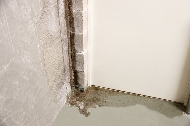 Basement Leak Repair